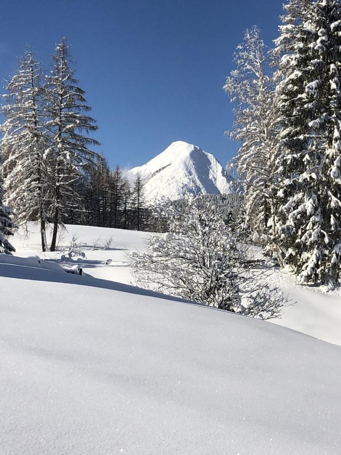 Seefeld-Lodge 제펠드 인 티롤 외부 사진